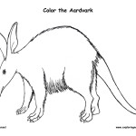 Mammals – Coloring Nature
