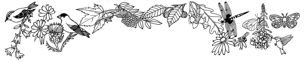 coloring nature – free printable coloring pages