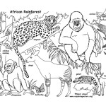 African Rainforest and Wildlife (Labeled)