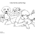 Boy with Dogs and Puppies