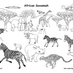 African Grassland Animals (Labeled)