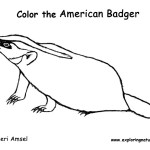 Badger