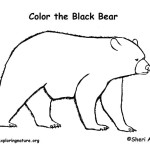 Bear (Black)