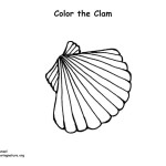 Clam