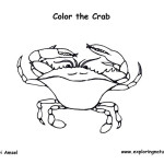 Crab