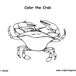 Crab (Blue)