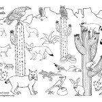 American Desert Animals (More)