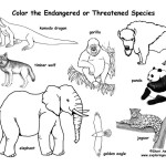 Endangered Animals