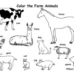 Farm Animals