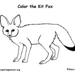 Fox (Kit)