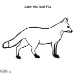 Fox (Red)