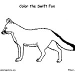 Fox (Swift)