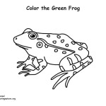 Green Frog