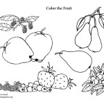 Fruit