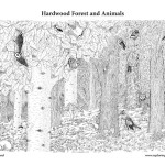 Hardwood Forest Animals