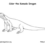 Komodo Dragon