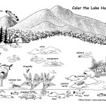 Lake Habitat and Wildlife