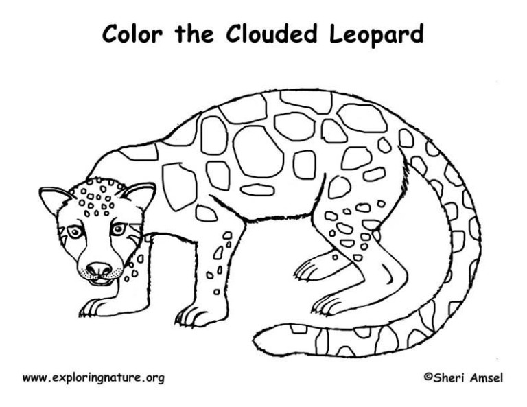 Leopard (Clouded) – Coloring Nature
