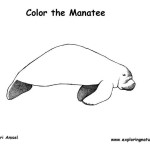 Manatee (Florida)