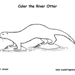 Otter (River)