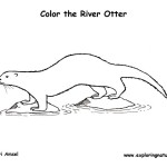 Otter (River)