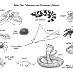 Venomous and Poisonous Animals