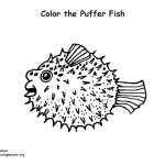 Puffer Fish