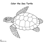 leather back sea turtle coloring pages - photo #31