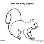 Squirrel (Eastern Gray)