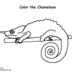 Chameleon