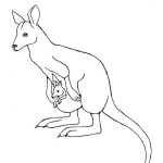 Wallaby (Agile)