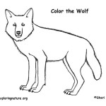 Wolf (Timber)