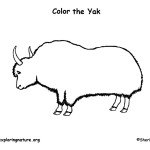 Yak