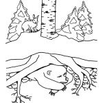 700 Coloring Pages Hibernating Animals Download Free Images