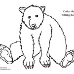 Bear Sitting