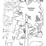 Deciduous Forest with Animals