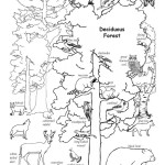 Deciduous Forest Animals (Labeled)