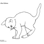 Kitten
