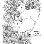 Rabbits in The Raspberries