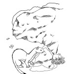 Weasel Hunting