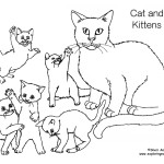 Cat and Kittens