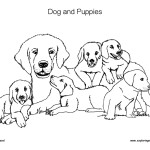 Dog and Puppies