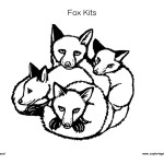 Fox Kits