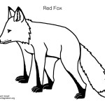 Fox (Red) 2