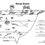 Ocean Layers (Elementary Level)