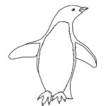 Penguin (Adelie)