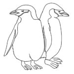 Penguin (Chinstrap)