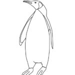 Penguin (King)