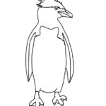 Penguin (Macaroni)