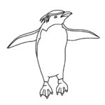 Penguin (Rockhopper)